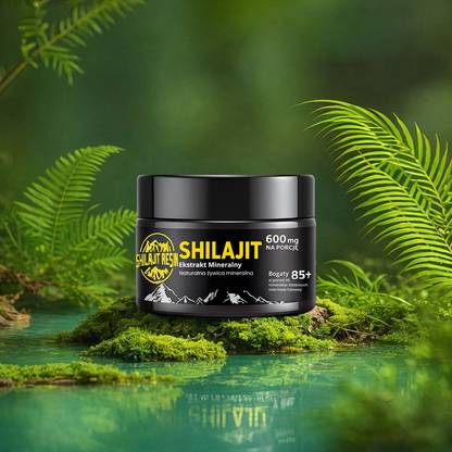 Himalaya Shilajit